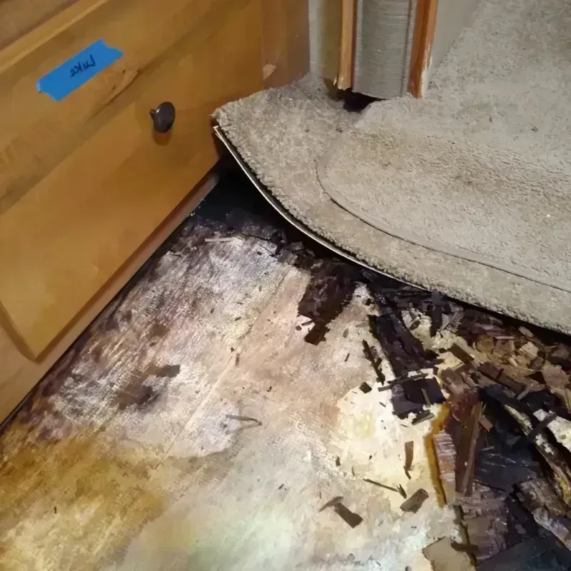 Wood Floor Water Damage in Hutchinson Island South, FL